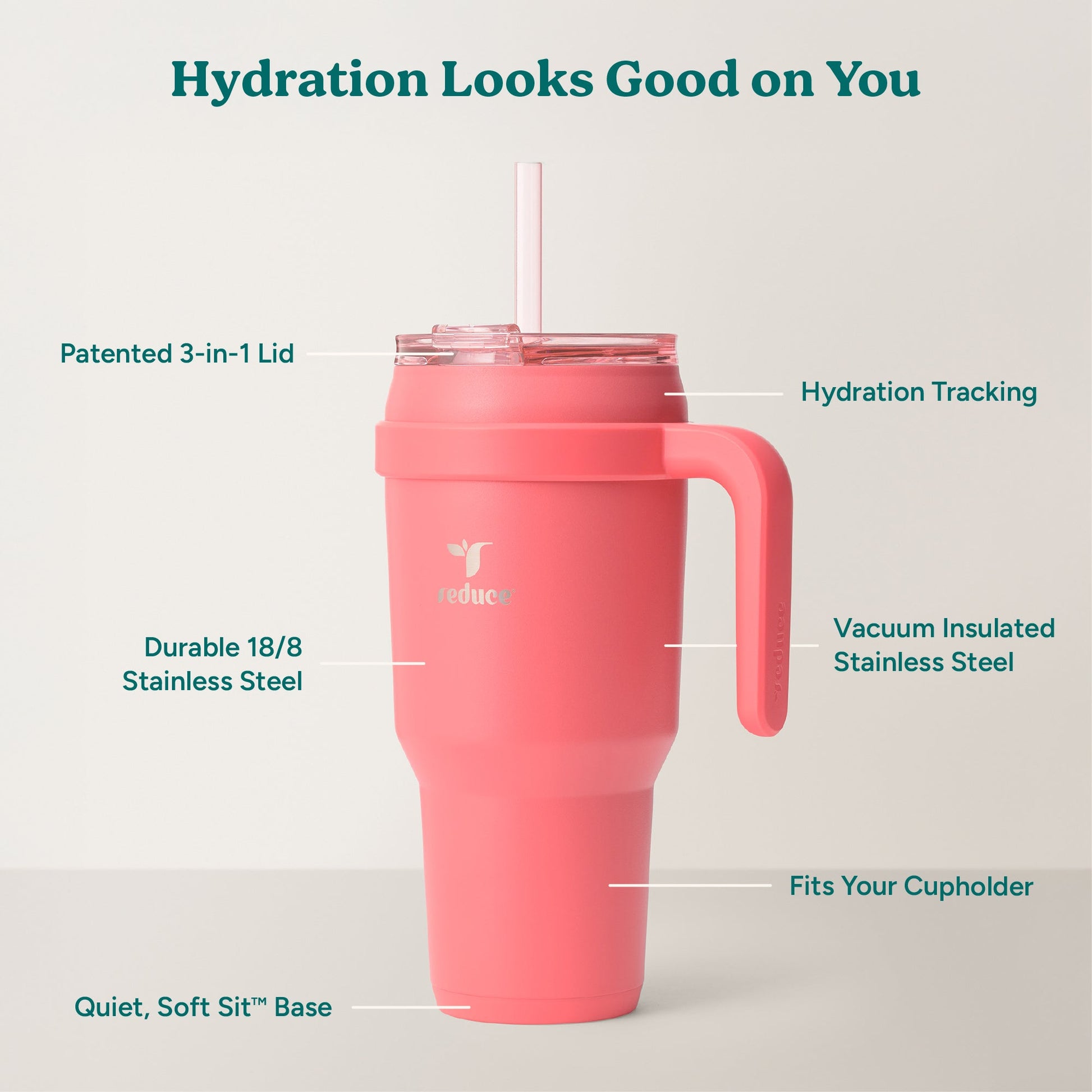 cold1-40-oz-f3 Cold1_40oz_Daiquiri_Infographic_2.jpg