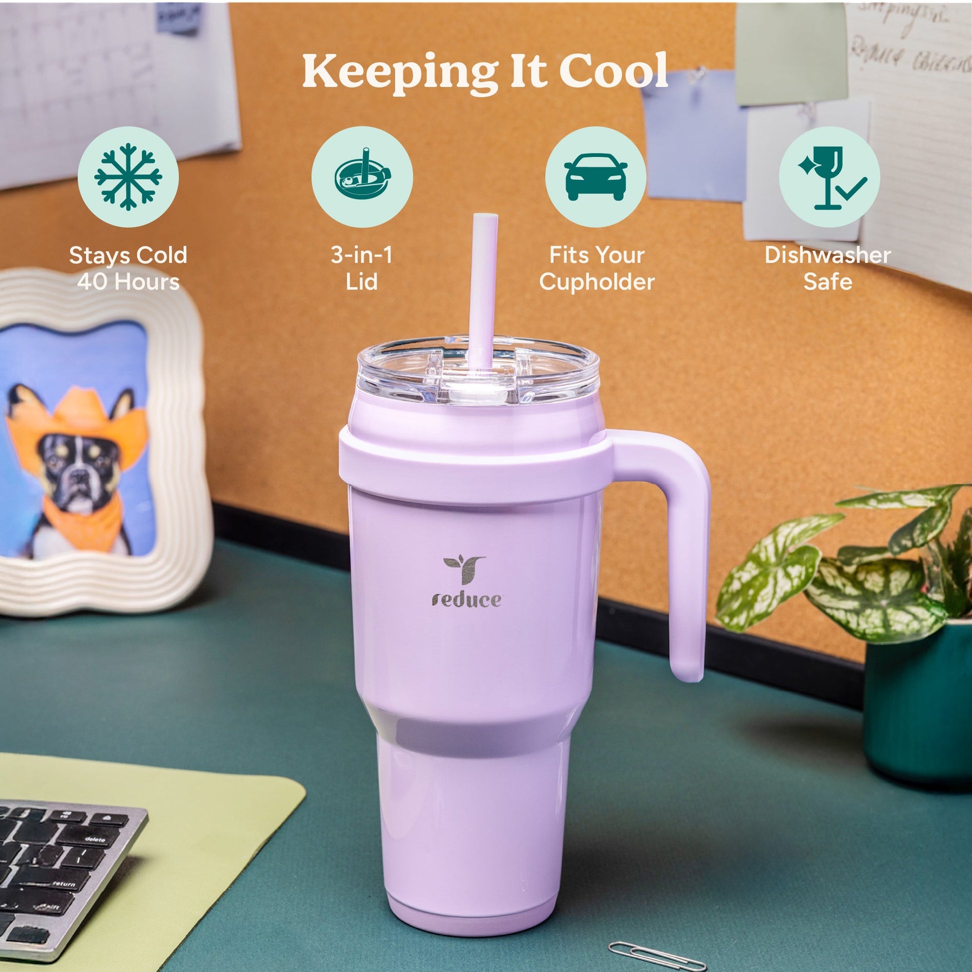 cold1-40-oz-f3 Cold1_40oz_PalmLeaf_Infographic_1.jpg