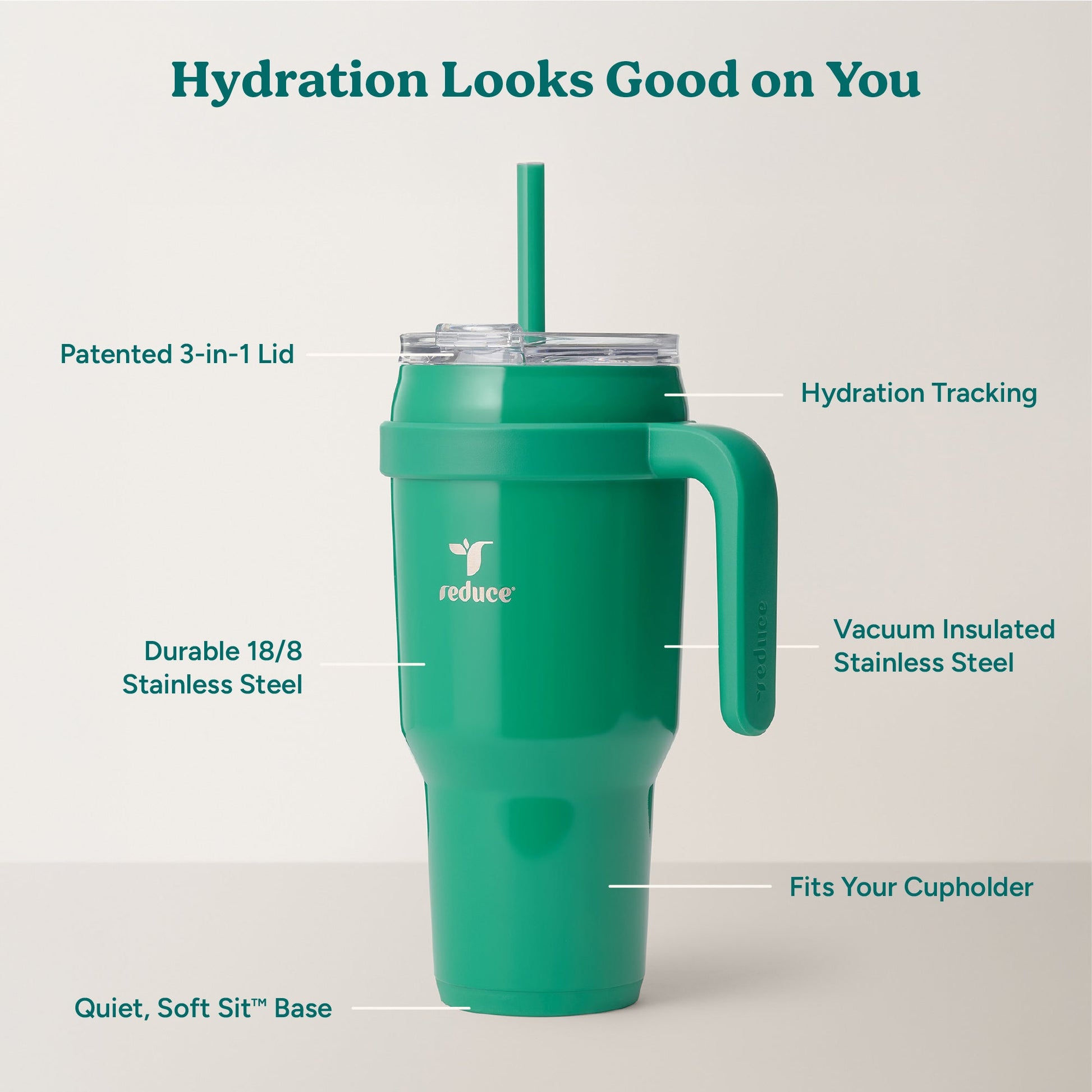cold1-40-oz-f3 Cold1_40oz_PalmLeaf_Infographic_2.jpg