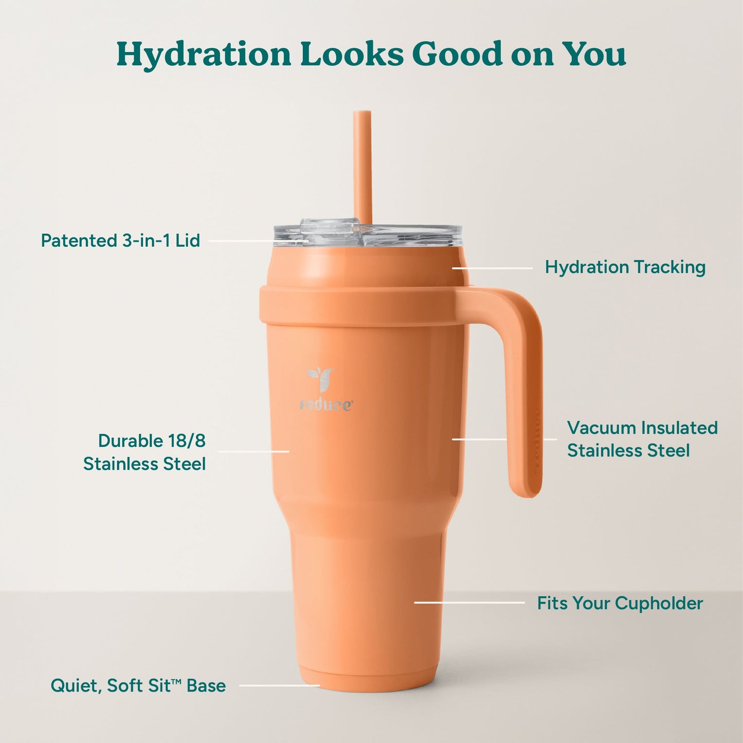 cold1-40-oz-f3 Cold1_40oz_Papaya_Infographic_2.jpg