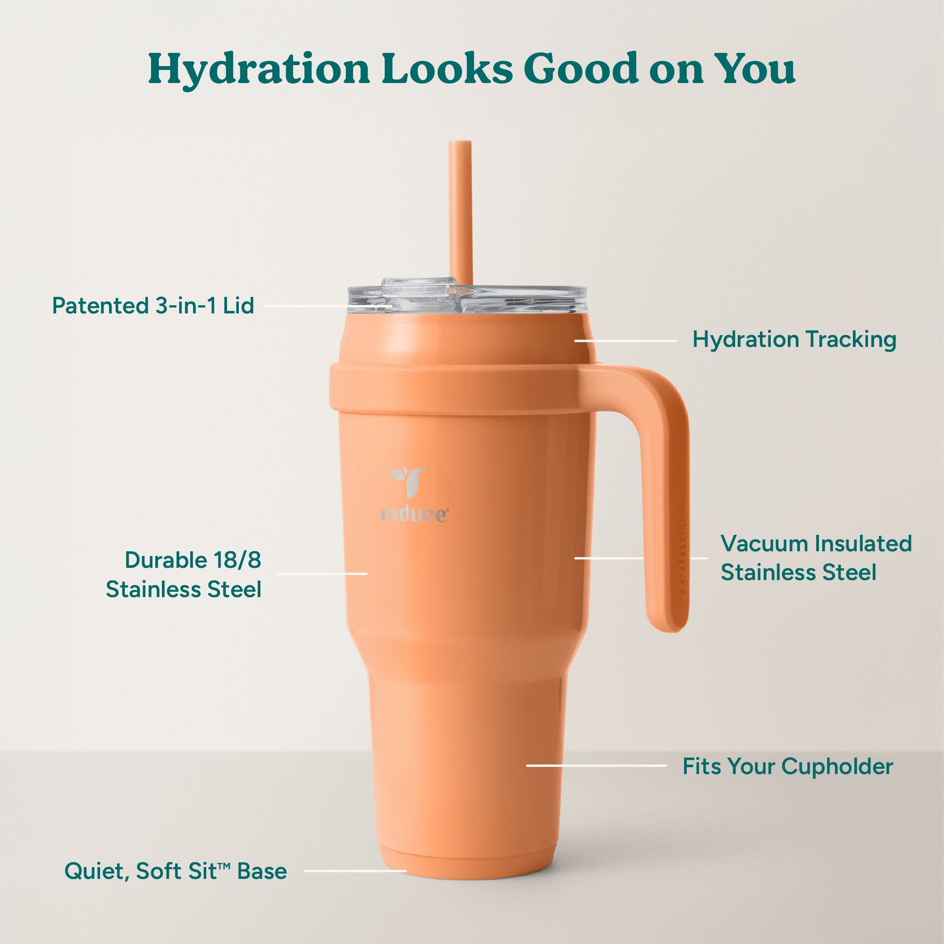 cold1-40-oz-f3 Cold1_40oz_Papaya_Infographic_2.jpg