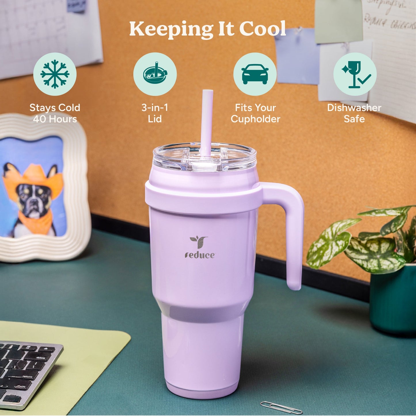 cold1-40-oz-f3 Cold1_40oz_Pineapple_Infographic_1.jpg