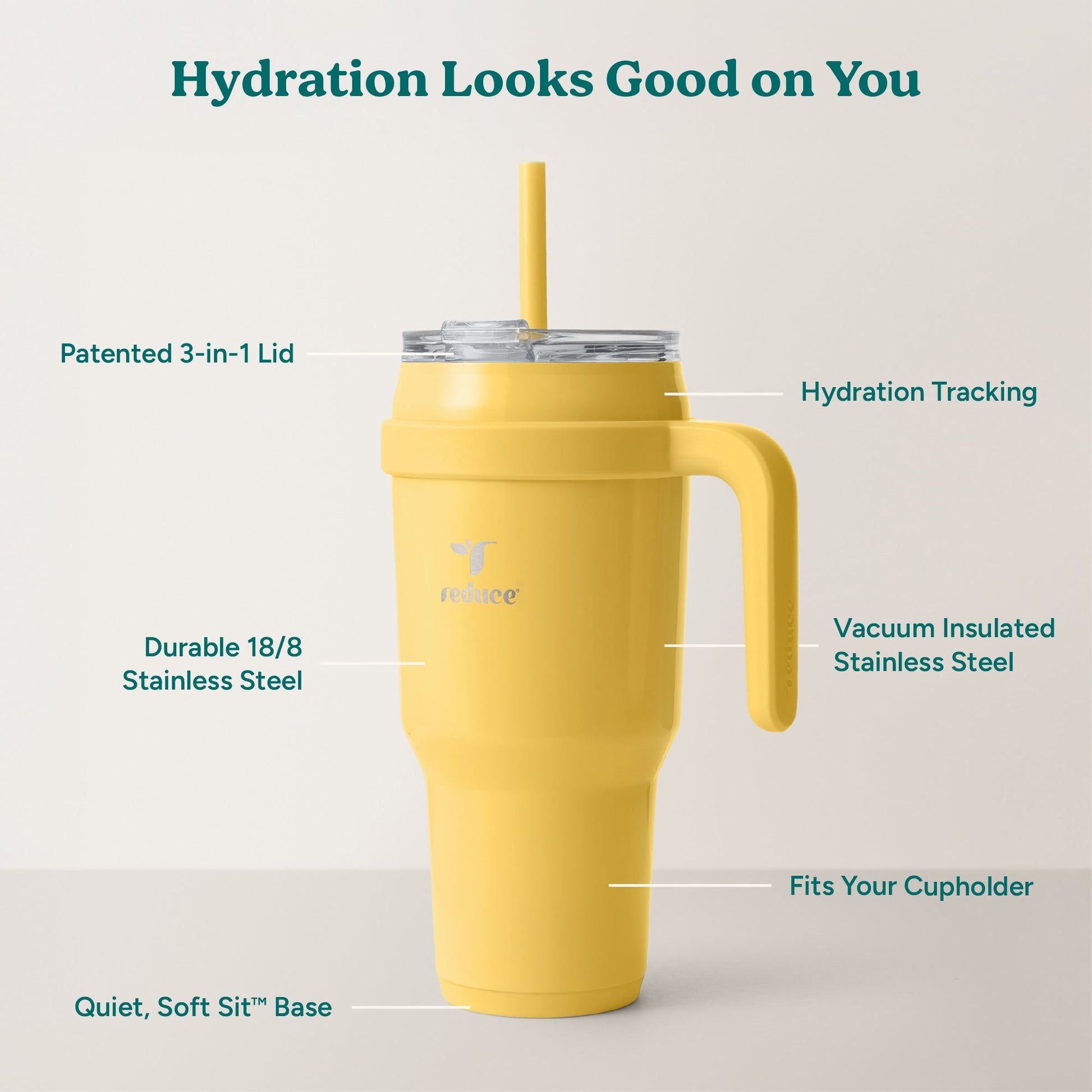 cold1-40-oz-f3 Cold1_40oz_Pineapple_Infographic_2.jpg